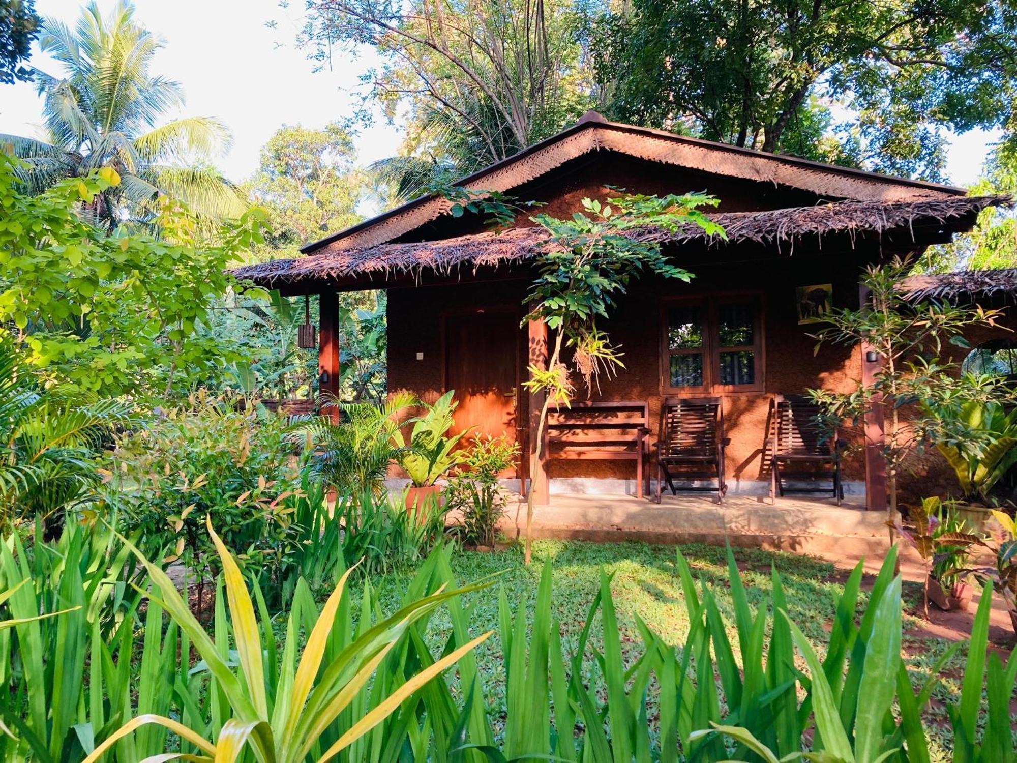 Green Paradise Cottage Udawalawa اوداوالاوي المظهر الخارجي الصورة