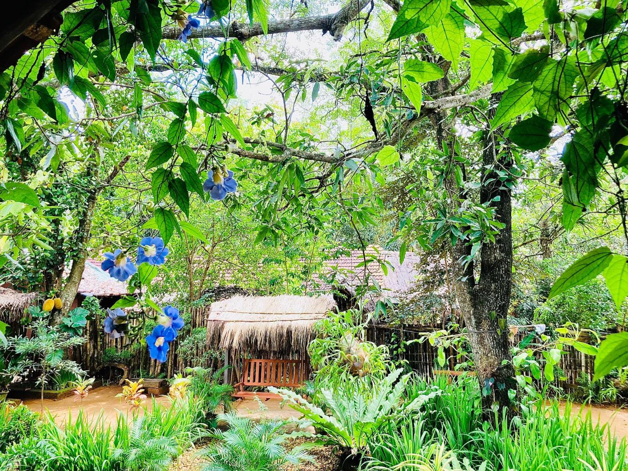 Green Paradise Cottage Udawalawa اوداوالاوي المظهر الخارجي الصورة