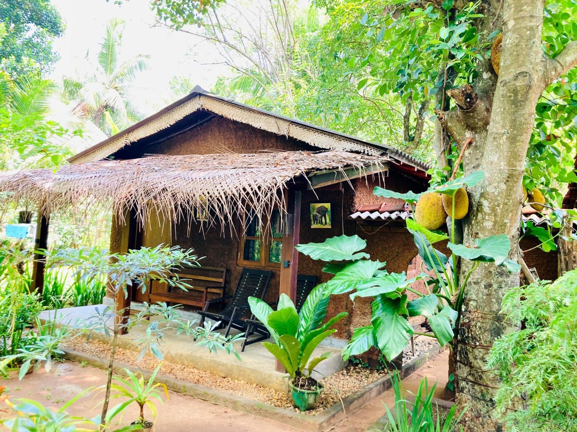 Green Paradise Cottage Udawalawa اوداوالاوي المظهر الخارجي الصورة