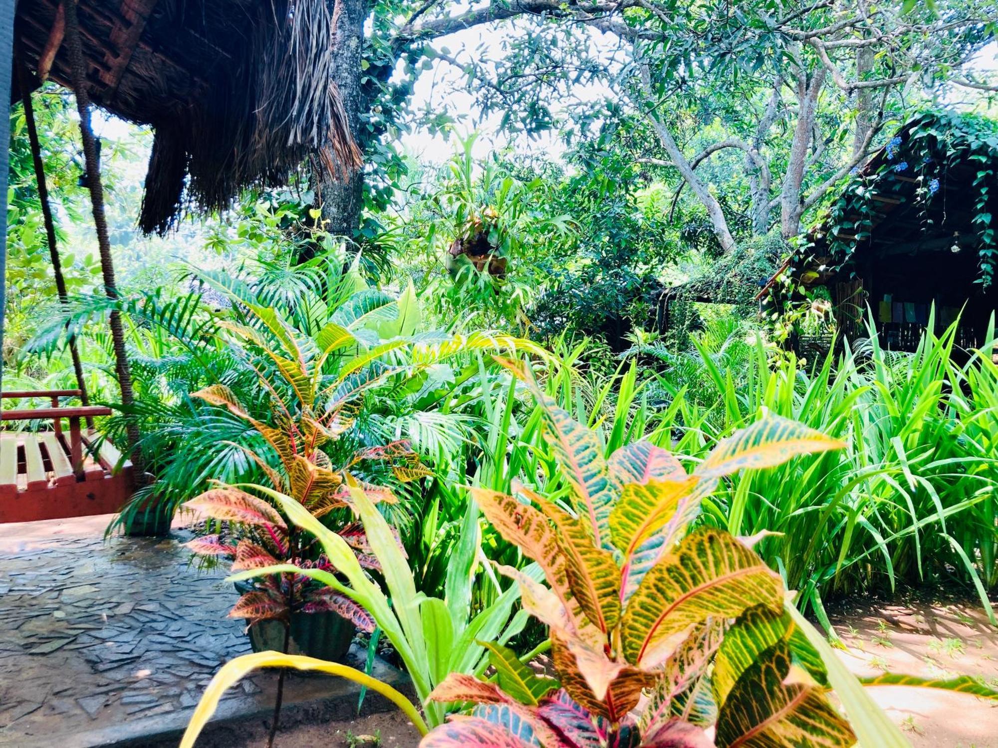 Green Paradise Cottage Udawalawa اوداوالاوي المظهر الخارجي الصورة