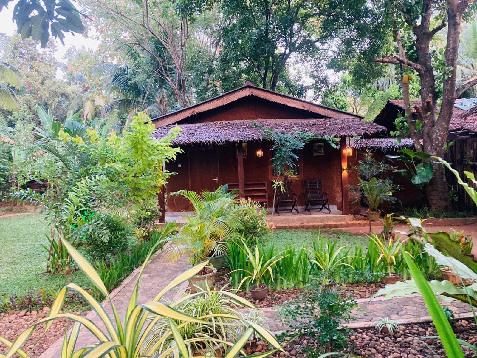 Green Paradise Cottage Udawalawa اوداوالاوي المظهر الخارجي الصورة