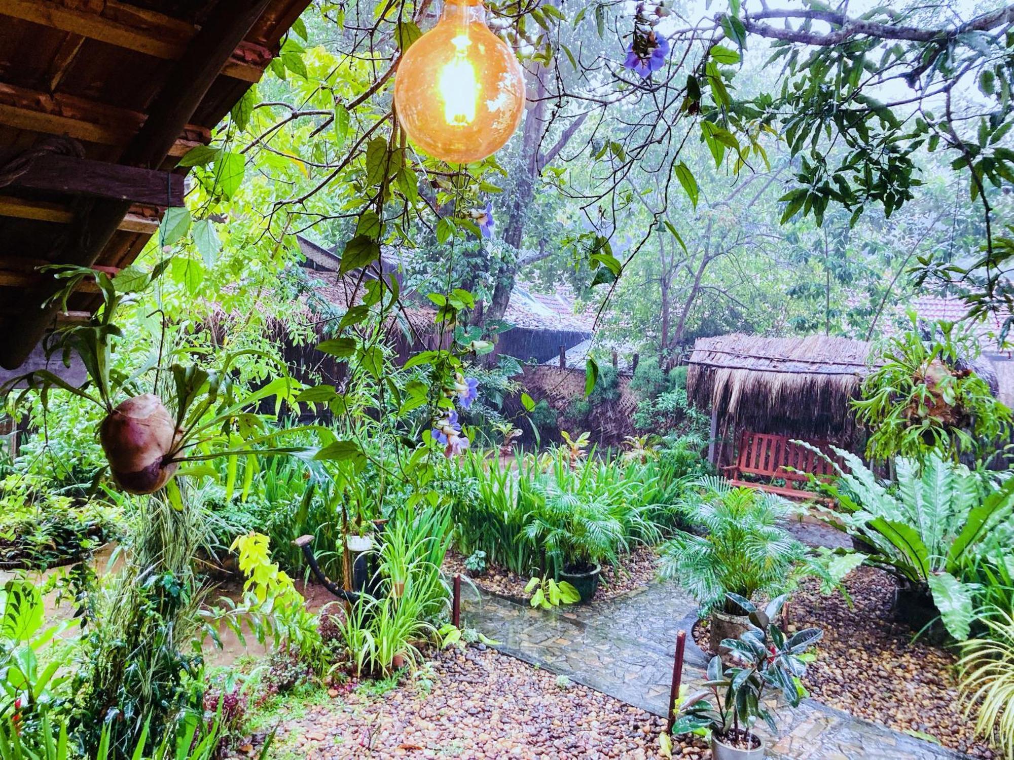 Green Paradise Cottage Udawalawa اوداوالاوي المظهر الخارجي الصورة